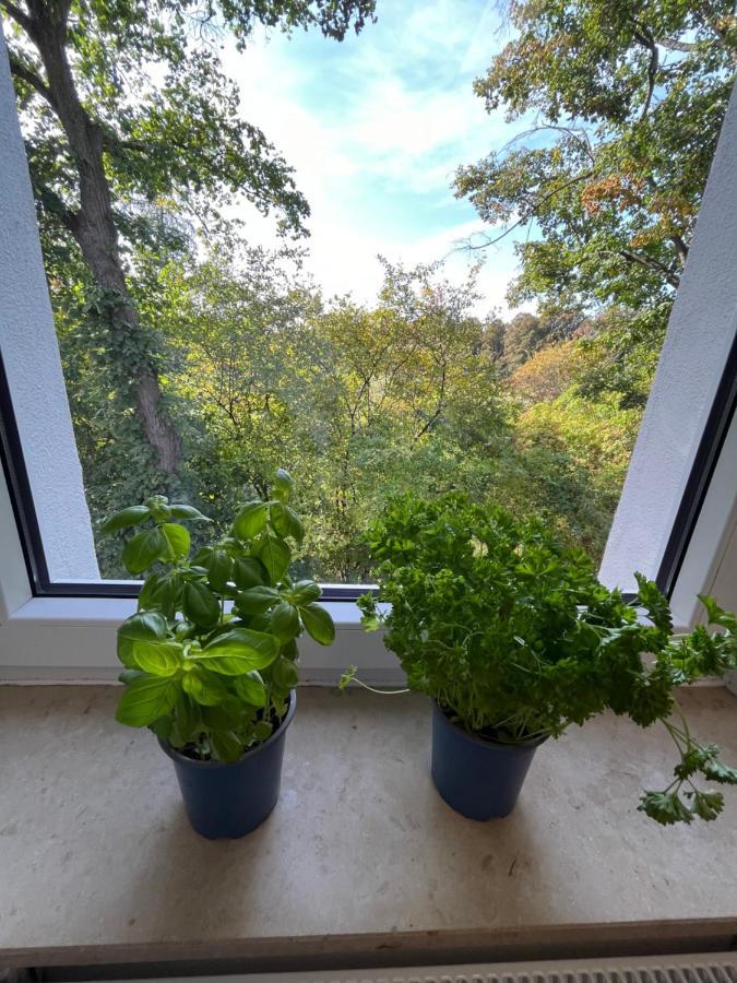 Moderne Wohlfuehl-Wohnung In Troisdorf Altenrath Bagian luar foto