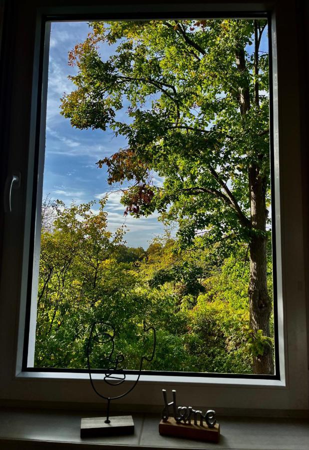 Moderne Wohlfuehl-Wohnung In Troisdorf Altenrath Bagian luar foto